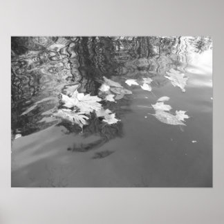 クリーク ポスター