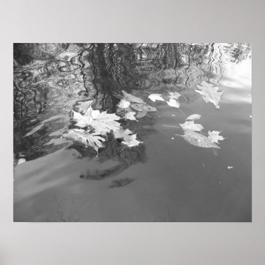 クリーク ポスター (正面)