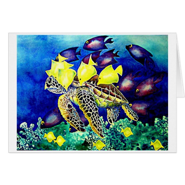 クリーニングの場所のカメ (正面横)