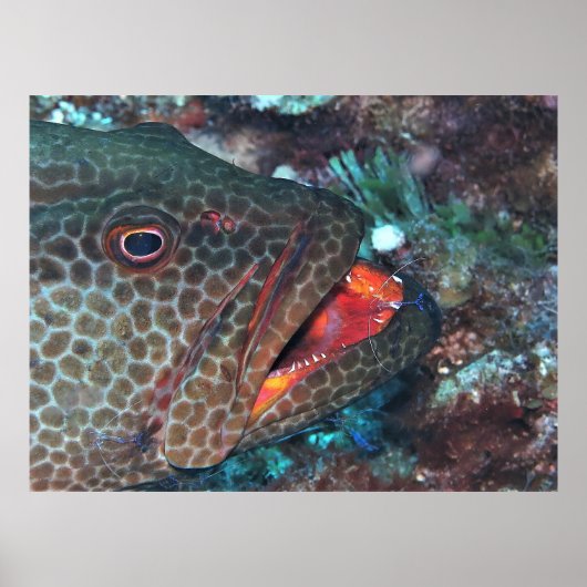 クリーニングサービス ポスター (正面)