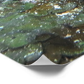 クリーニングステーション上のグルーパー ポスター (角)