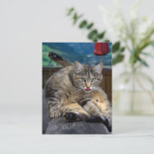 クリーニング中に邪魔される ポストカード (スタンド正面)