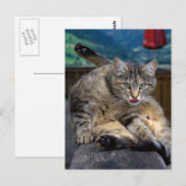 クリーニング中に邪魔される ポストカード (正面/裏面)