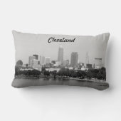 クリーブランドのスカイラインBWの枕 ランバークッション (裏面)
