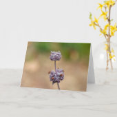 クリーブランドの賢人 カード (黄色い花)