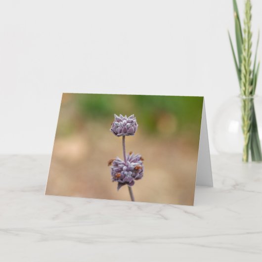 クリーブランドの賢人 カード (正面)