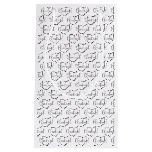 クリーブランドオハイオ愛 スモールペーパーバッグ (正面)