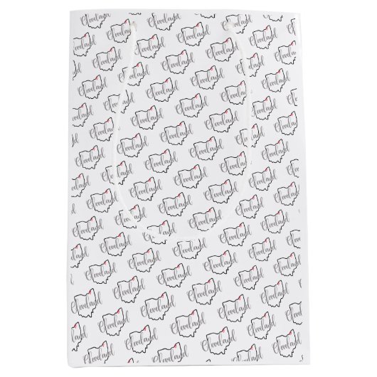 クリーブランドオハイオ愛 ミディアムペーパーバッグ (正面)