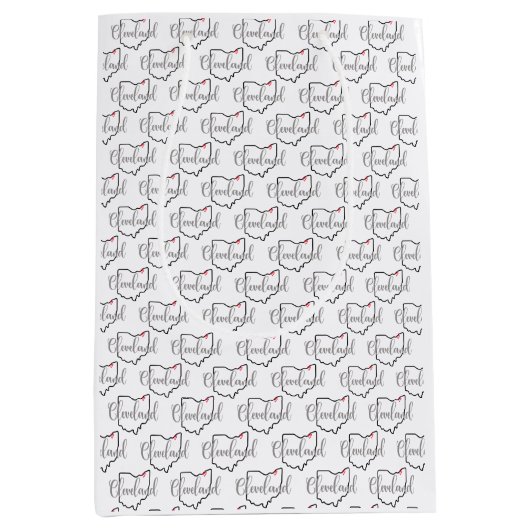 クリーブランドオハイオ愛 ミディアムペーパーバッグ (正面)