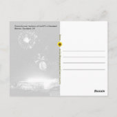 クリーブランドブラウンズスタジアムでの花火 – はがき (裏面)