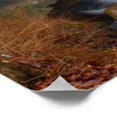 クリーブランドメトロパークスのチッペワクリーク滝 ポスター (角)