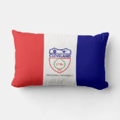 クリーブランド国旗（オハイオ） ランバークッション (裏面)