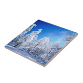 クリーブランド国有林 タイル (側面)