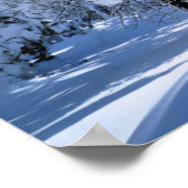 クリーブランド国有林 ポスター (角)