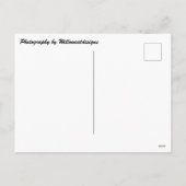 クリーブランド建築アットクリスマスポストカード シーズンポストカード (裏面)