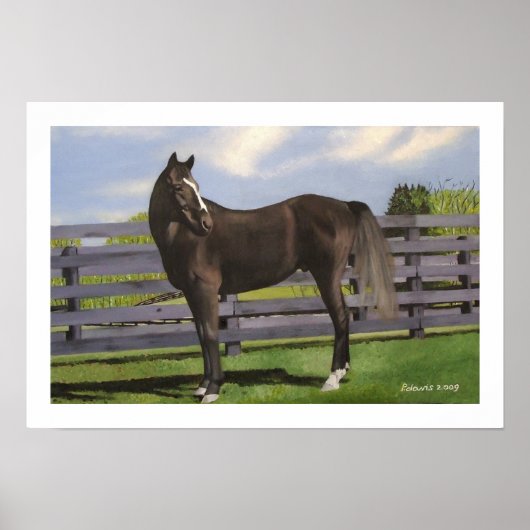 クリーブ ポスター (正面)