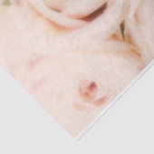 クリーミーなソフト赤面ピンクローズエレガントな結婚式 薄葉紙 (詳細)