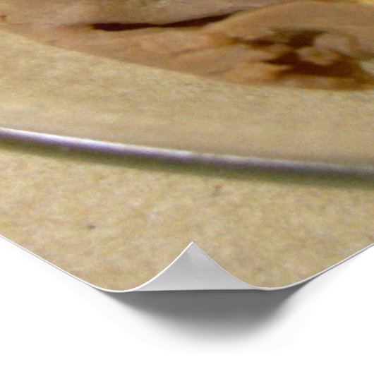 クリーミーなヤギのチーズとローストビーフサンドイッチ ポスター (角)