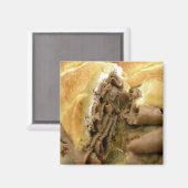 クリーミーな羊乳チーズが付いているローストビーフサンドイッチ マグネット (正面/裏面)