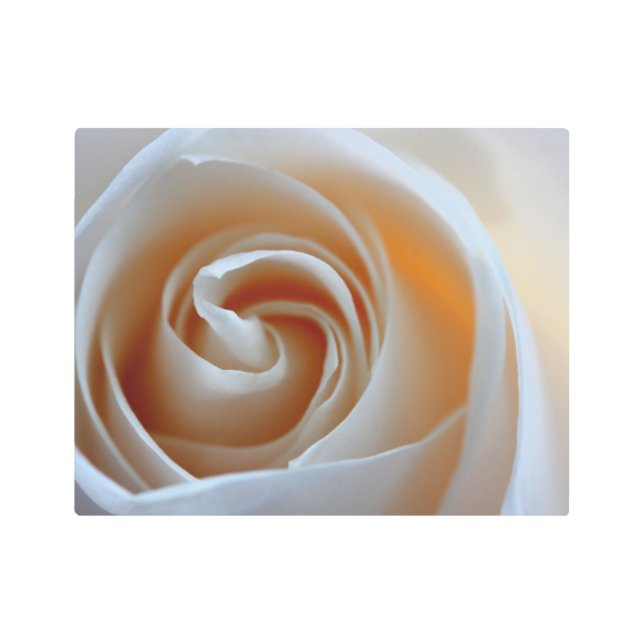 クリーミーバラメタルウォールアート メタルプリント (正面)