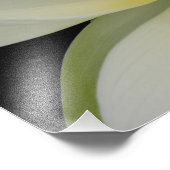 クリーミーロータスウォーターリリー フォトプリント            (角)