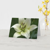 クリームがかった白ユリカード カード (黄色い花)