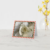 クリームとグリーン観賞用キャベツと赤いストライプキャベツ カード (黄色い花)