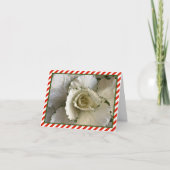 クリームとグリーン観賞用キャベツと赤いストライプキャベツ カード (正面)