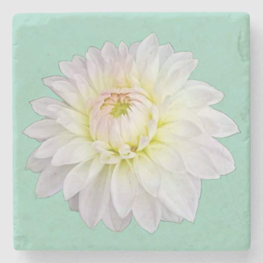 クリームとピンクの花 ストーンコースター (正面)