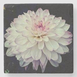 クリームとピンクの花 ストーンコースター