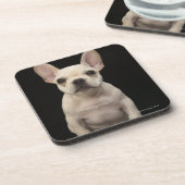クリームによって着色されるフレンチ・ブルドッグの子犬 コースター (左側)