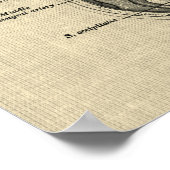 クリームの背景を持つ脳の解剖学第5号 ポスター (角)