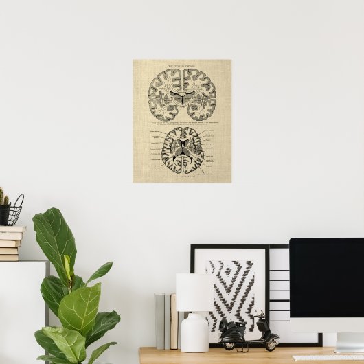 クリームの背景を持つ脳の解剖学第9号 ポスター (ホームオフィス)