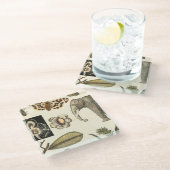 クリームの背絵を描景にさまざまな動物 ガラスコースター (アングル)