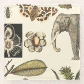 クリームの背絵を描景にさまざまな動物 ガラスコースター (正面)