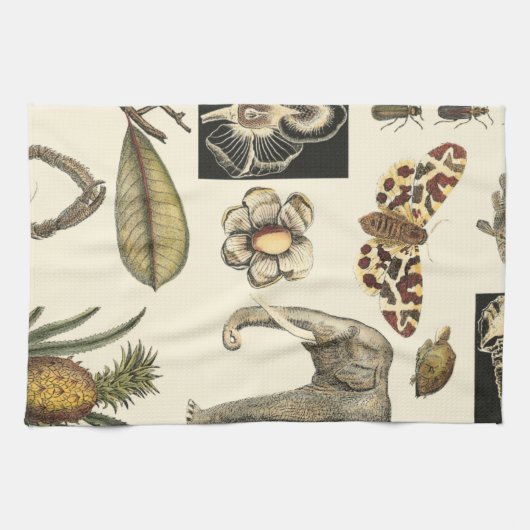 クリームの背絵を描景にさまざまな動物 キッチンタオル (横)