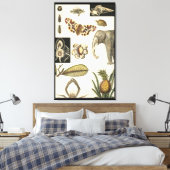 クリームの背絵を描景にさまざまな動物 キャンバスプリント (インサイチュ (寝室))
