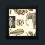 クリームの背絵を描景にさまざまな動物 ギフトボックス<br><div class="desc">この疑問に思作品には、Vision Studioによって自然の数が示されている。ゾウ、蝶、その他の動物と混ざり合う不気味な虫。愛もしする自然このプリント!</div>