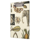 クリームの背絵を描景にさまざまな動物 クリップボード (左)