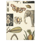 クリームの背絵を描景にさまざまな動物 クリップボード (裏面)