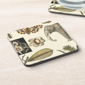 クリームの背絵を描景にさまざまな動物 コースター (左側)