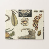 クリームの背絵を描景にさまざまな動物 ジグソーパズル (横)