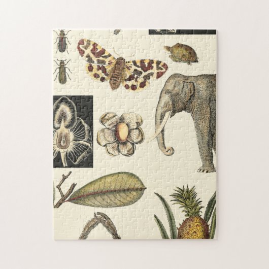 クリームの背絵を描景にさまざまな動物 ジグソーパズル (縦)