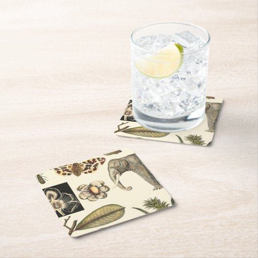 クリームの背絵を描景にさまざまな動物 スクエアペーパーコースター (インサイチュ)