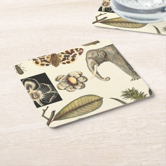 クリームの背絵を描景にさまざまな動物 スクエアペーパーコースター (アングル)