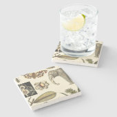 クリームの背絵を描景にさまざまな動物 ストーンコースター (横)