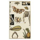 クリームの背絵を描景にさまざまな動物 スモールペーパーバッグ (裏面)