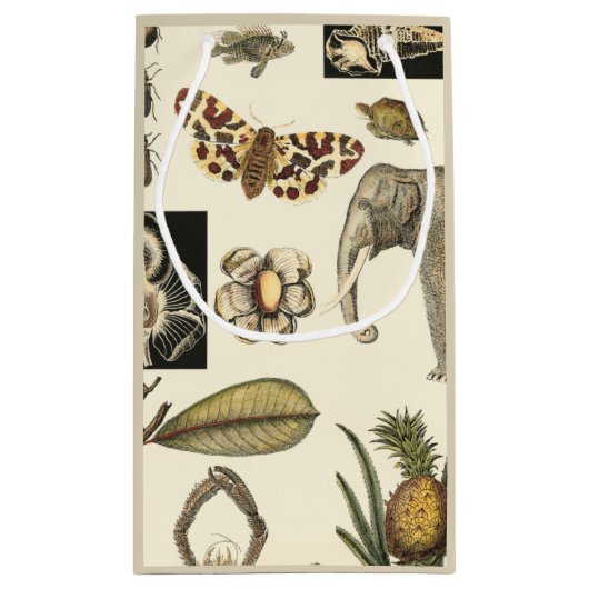 クリームの背絵を描景にさまざまな動物 スモールペーパーバッグ (裏面)