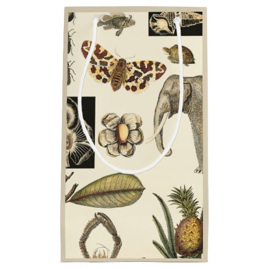 クリームの背絵を描景にさまざまな動物 スモールペーパーバッグ (正面)