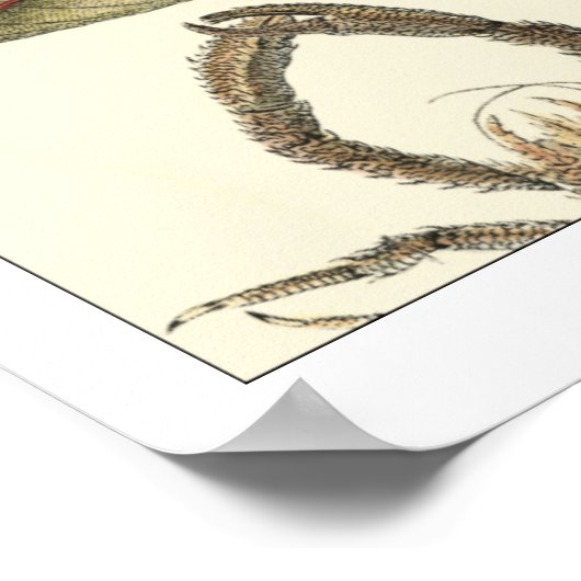 クリームの背絵を描景にさまざまな動物 ポスター (角)